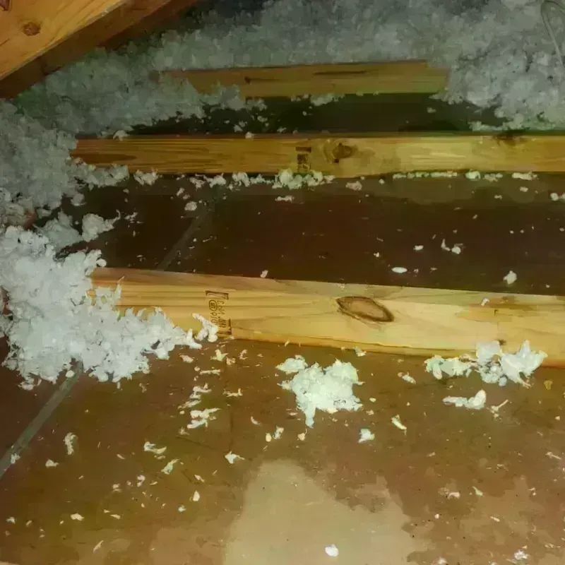 Attic Water Damage in Cheshire, CT