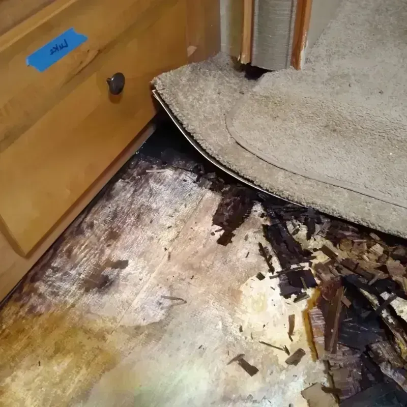 Best Wood Floor Water Damage Service in Cheshire, CT